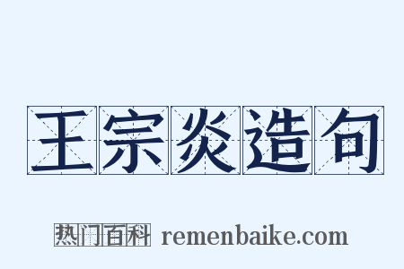 王宗炎造句是什么意思的图片